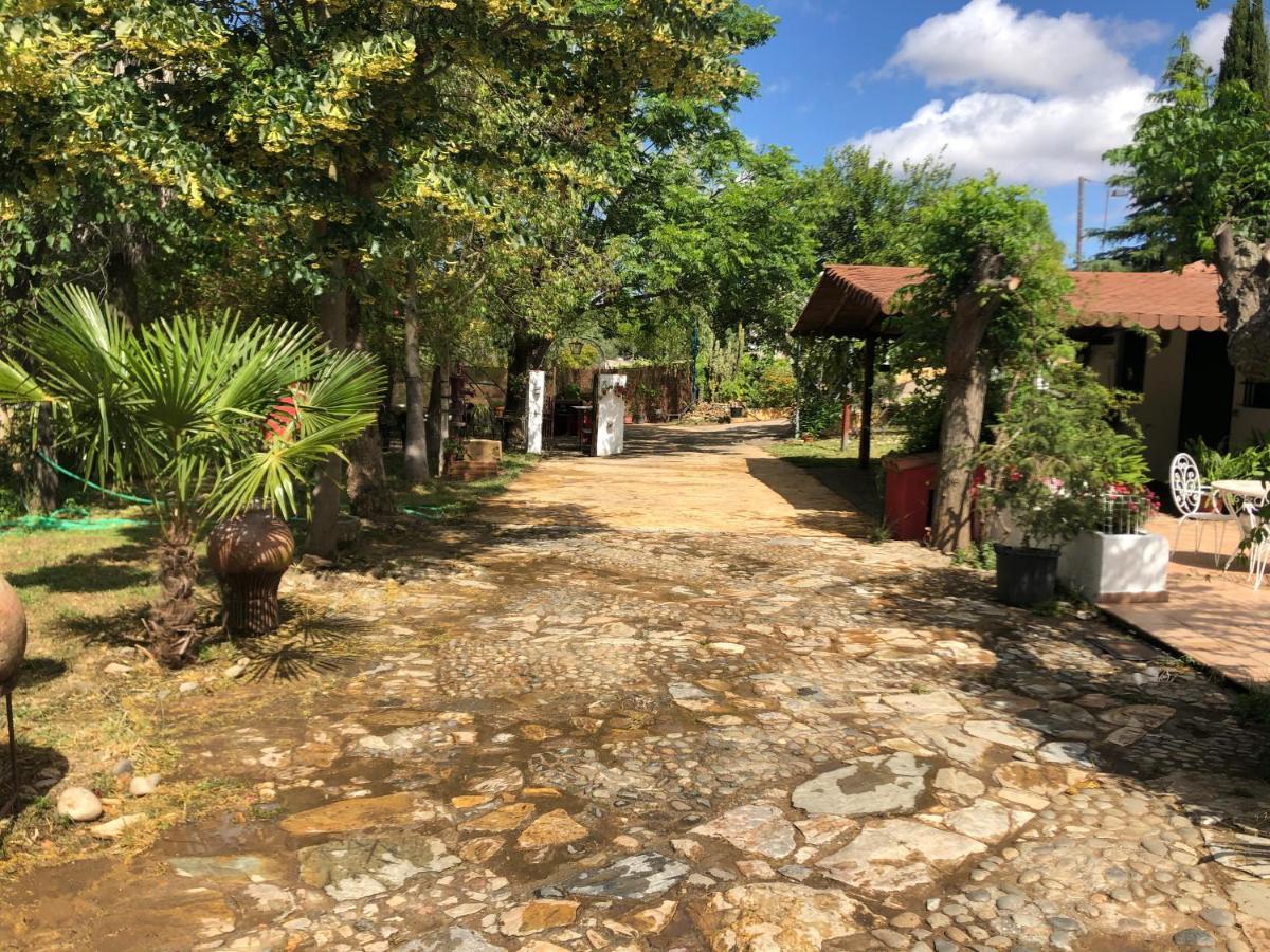 Vivienda Turistica La Huerta Villa Guadalcanal Exterior foto